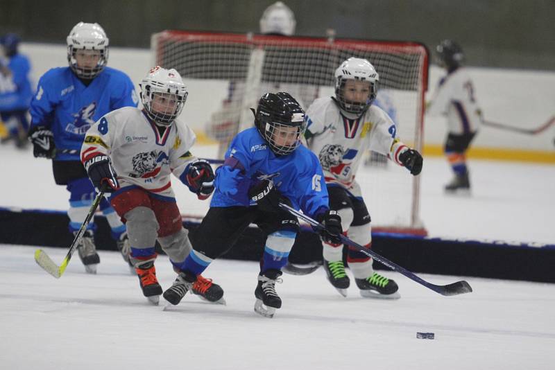 Huskies Cup v Teplicích