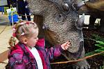 DinoPark Tour 2015