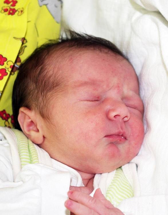 Mamince Marii Jirouškové z Hostomic se 19. listopadu ve 13.38 hod. v ústecké porodnici narodila dcera Štěpánka Johanka Jiroušková. Měřila 48 cm a vážila 3,09 kg.