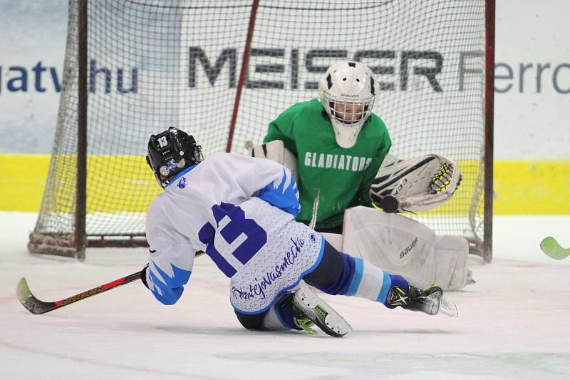 HC Teplice Huskies na turnaji v Maďarsku