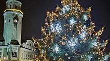 Vánoční strom v Bílině