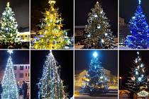 Vánoční stromy na Teplicku.