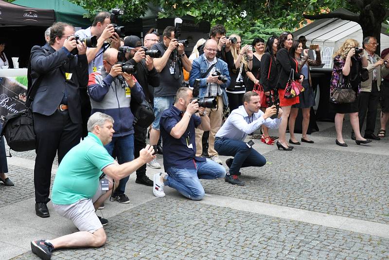 Czech Fashion Week Teplice v roce 2019.