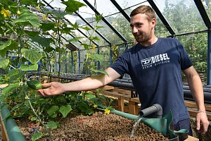 Pavel Lukáč staví ve sklenících v Oseku na Teplicku pultové záhony pro aquaponické pěstování