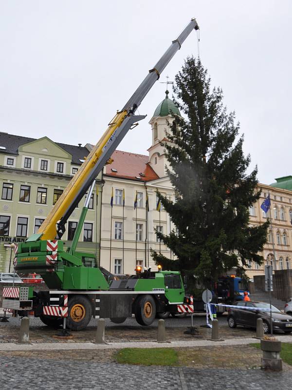 V pondělí 20. listopadu přivezli na náměstí Svobody do Teplic vánoční strom.