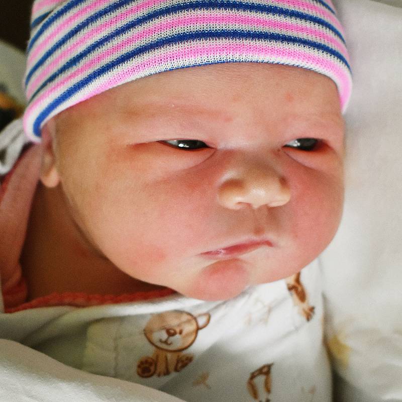 Barbora Šecková  se narodila Haně Rohdingerové z Duchcova  20. dubna 2022 v 6,06 hodin v teplické porodnici. Měřila 52 cm, vážila 3,85 kg