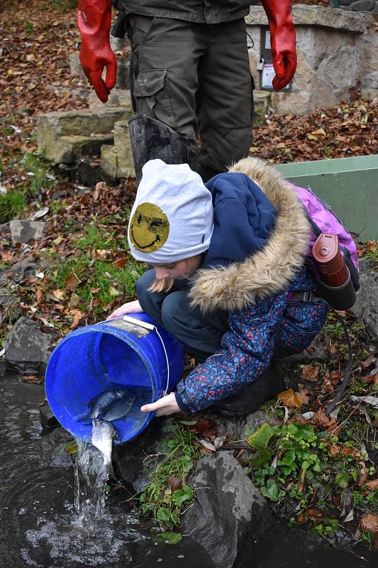 Cejny, plotice a perlíny tam vysadili rybáři, zástupci Unipetrolu, školáci z ústecké ZŠ Karla IV. a klienti stacionáře pro mentálně a tělesně postižené Helias.