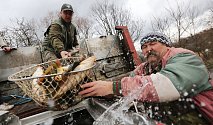 Rybáři na severu Čech začali zarybňovat všechny chovné rybníky. V pátek prováděli zarybnění na Chomutovsku a Teplicku.