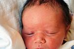 Sofia Landgrafová se narodila Veronice Bicanové z Teplic 20. června 2022 v  4,15 hodin v teplické porodnici. Měřila 46 cm, vážila 2,75 kg.