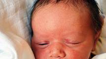 Sofia Landgrafová se narodila Veronice Bicanové z Teplic 20. června 2022 v  4,15 hodin v teplické porodnici. Měřila 46 cm, vážila 2,75 kg.
