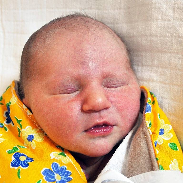Tomáš Trlica se narodil Kristýně Trlicové z Mostu 29 .března ve 3,49  hod. v teplické porodnici. Měřil 54 cm a vážil 3,95 kg.