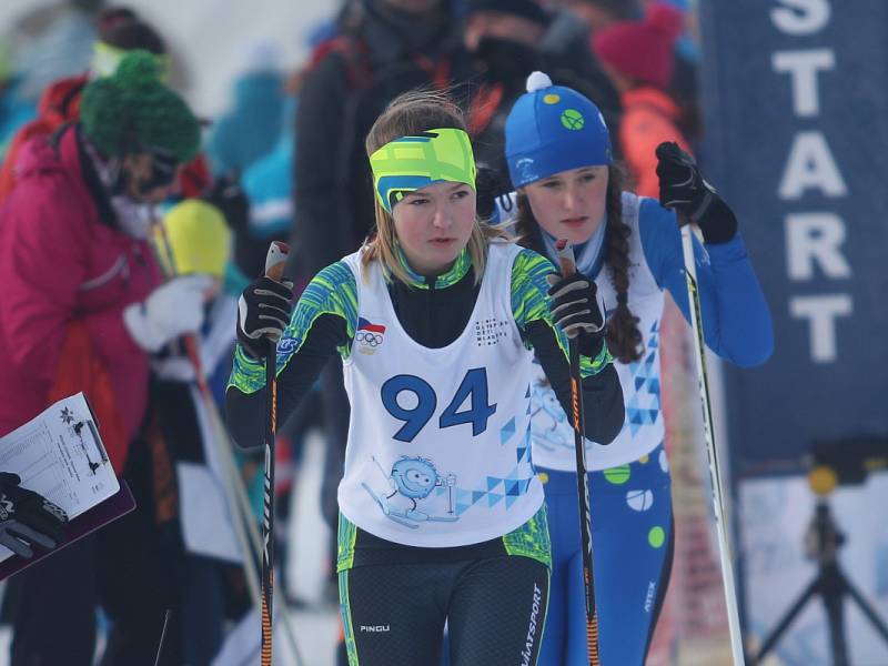 Zimní olympiáda dětí a mládeže na Cínovci