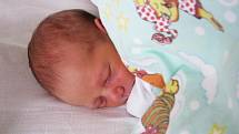Mamince Tereze Hanžlové z Krupky se 23. června ve 4.35 hod. v teplické porodnici narodil syn Michal Tržil. Měřil  50 cm a vážil 2,95 kg.