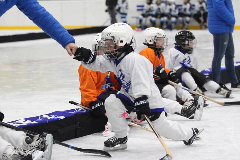 Přátelské utkání přípravek HC Teplice Huskies - Mostečtí Lvi