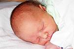 Mamince Leoně Vanclové z Teplic se 25. prosince ve 2.55 hodin narodil v ústecké porodnici syn Dominik Vancl. Měřil 49 cm a vážil 3,02 kg.