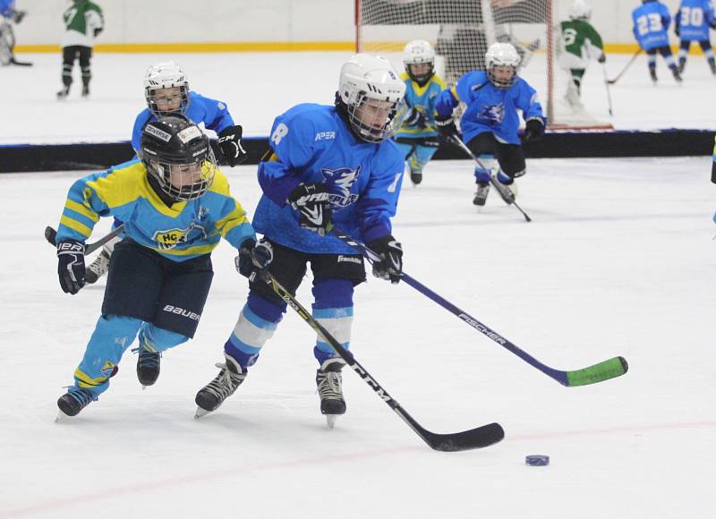 Huskies Cup ozdobila účast Sparty