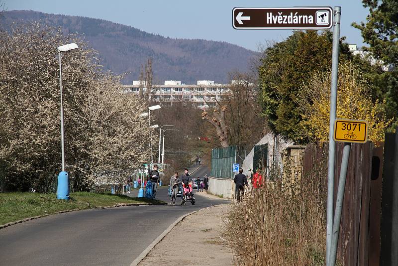 Roušky se stávají standardem. Třeba i na procházce v parku. Nebo v jiných přírodních městských částech.