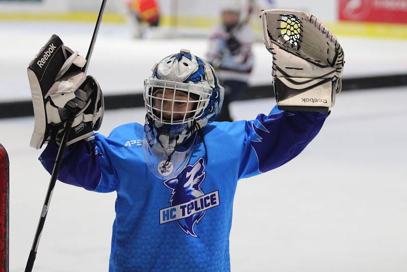 HC Teplice Huskies na turnaji v Maďarsku