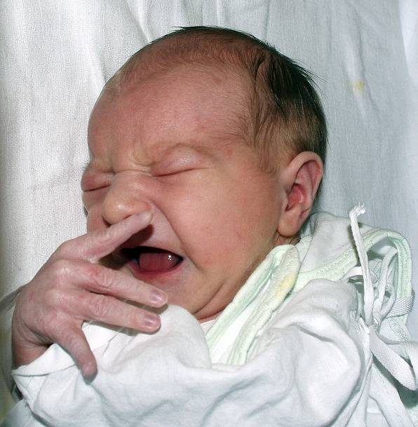Mamince Jaroslavě Lukačové z Teplic se 5. listopadu v 19.59 hodin v ústecké porodnici narodil syn Michal Lukáč. Měřil 48 cm a vážil 3,02 kg.
