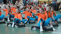 Aerobic cup 2009 - Krupka