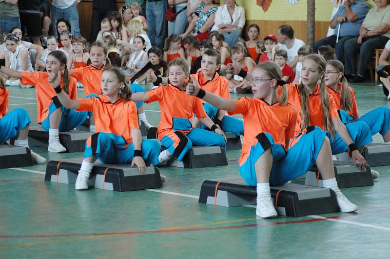 Aerobic cup 2009 - Krupka