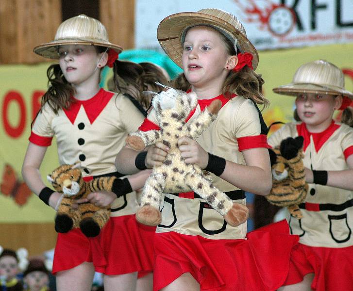 Aerobic cup 2009 - Krupka