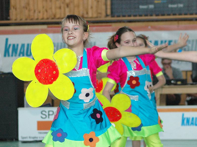 Aerobic cup 2009 - Krupka