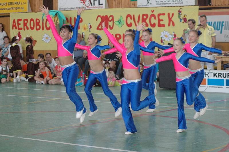 Aerobic cup 2009 - Krupka