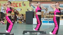 Aerobic cup 2009 - Krupka