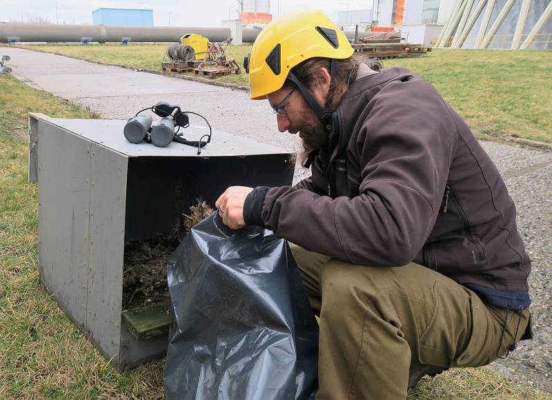 Občas je také zapotřebí budku vyčistit a případně i nabídnout sokolům jiný výhled na elektrárnu.   Na snímku je ornitolog Václav Beran