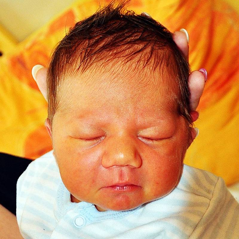 Thomas Nytra se narodil Nele Nytrové z Bíliny 8. července  v 10.27 hod. v teplické porodnici. Měřil 51 cm a vážil 3, 75 kg.