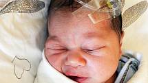 Kelly Brož se narodil Jindřišce Brožové z Teplic 18. srpna v 12,39 hodin v teplické porodnici. Měřil 53 cm, vážil 3,50 kg.