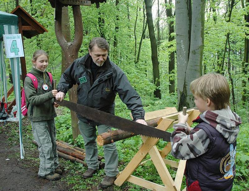 POZNÁVAČKA. Určit správně, o jaký jde jehličnan, poznat brouky, žijící v lese nebo nařezat dříví na polena, to bylo jen několik z úkolů, které lesníci pro děti a jejich rodiče v Kostomlatech připravili.