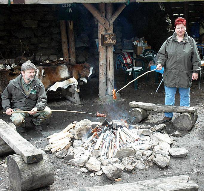 POZNÁVAČKA. Určit správně, o jaký jde jehličnan, poznat brouky, žijící v lese nebo nařezat dříví na polena, to bylo jen několik z úkolů, které lesníci pro děti a jejich rodiče v Kostomlatech připravili.