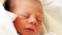 Mamince Sáře Hynkové z Krupky se 15. dubna  v 1.54  hod. v ústecké porodnici narodila dcera Sára Hynková. Měřila  48 cm a vážila 2,97 kg.