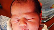 Tereza Feriancová se narodila Tereze Feriancové z Teplic 4. června v 15.36 hod. v teplické porodnici. Měřila 47 cm a vážila 3,0 kg.