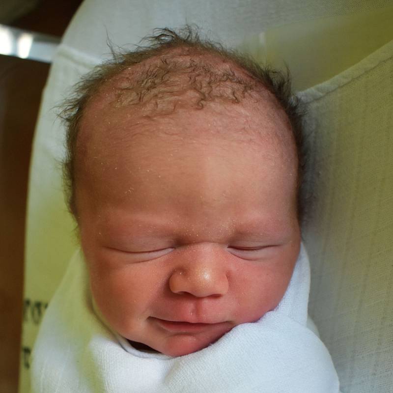 Kryštof Trojek se narodil 25. května v 0.02 hodin mamince Stanislavě Trojek z Oseka v teplické porodnici. Měřil 49 cm a vážil 3,45 kg.