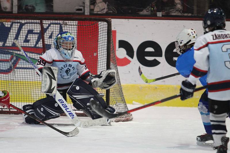 HC Teplice Huskies na turnaji v Maďarsku