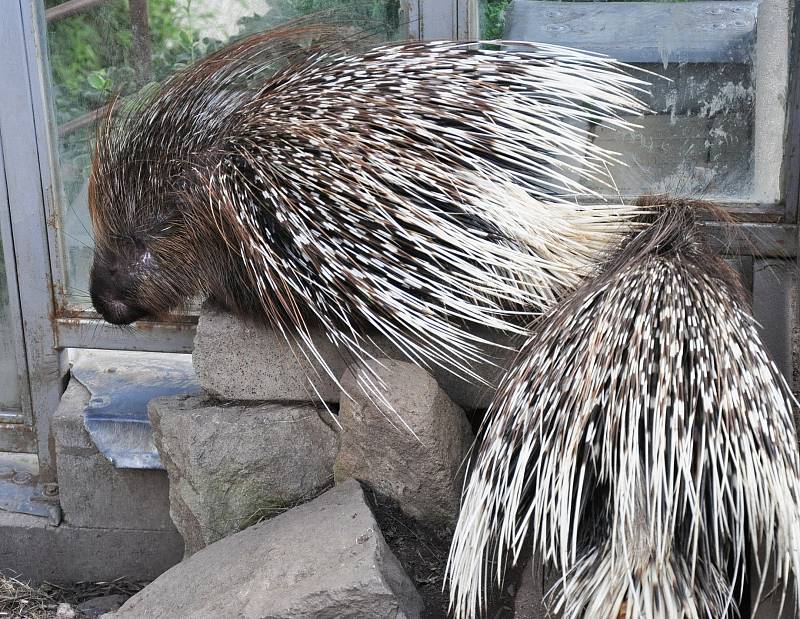 biopark gymnázium Teplice