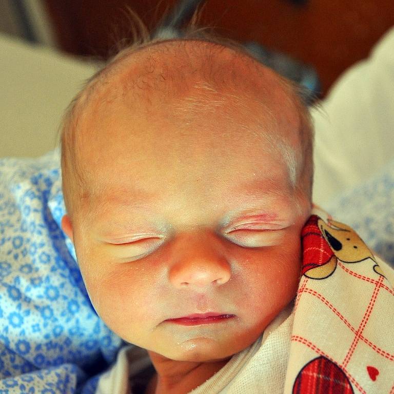 ŠTĚPÁN BITTNER se narodil Lucii Bittnerové z Oldřichova 4. února  v 18.28 hod. v teplické porodnici. Měřil 51 cm a vážil 3,10 kg.