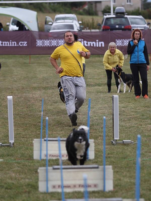 MČR ve flyballu v Křemýži