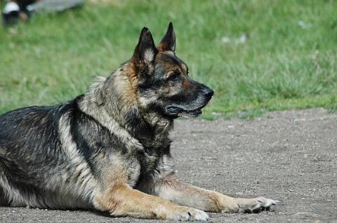 Den s policií na Základní škole Prosetice