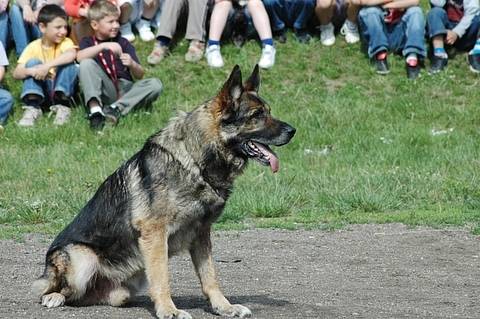 Den s policií na Základní škole Prosetice