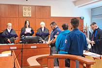 Rozsudek kvůli sadistickému zneužívání si v úterý 13. února vyslechl muž z Teplicka.