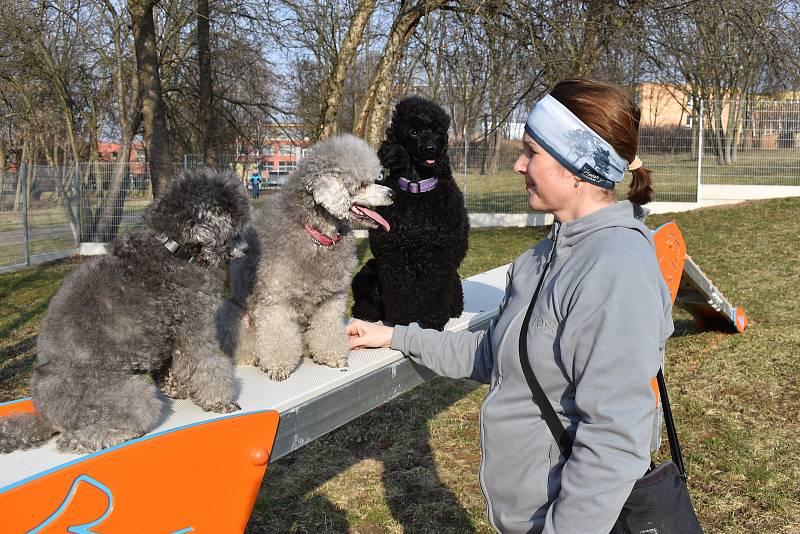 Slavnostní otevření veřejného hřiště pro psí agility v Trnovanech.