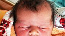 ELIŠKA INDRÁKOVÁ se narodila Sabině Jezdinské z Teplic 8. února v 10.00 hod. v teplické porodnici. Měřila 48 cm a vážila 3,30 kg.