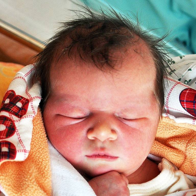 ELIŠKA INDRÁKOVÁ se narodila Sabině Jezdinské z Teplic 8. února v 10.00 hod. v teplické porodnici. Měřila 48 cm a vážila 3,30 kg.
