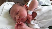 Viktorie Pintérová se narodila Anně Pavlíčkové v teplické porodnici 2. dubna v 16.54 hodin. Měřila 52 cm a vážila 4000 gramů.