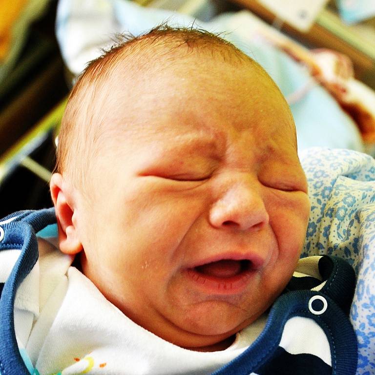 Jakub Srb se narodil Heleně Srbové z Teplic 14. března ve 4.01 hod. v teplické porodnici. Měřil 48 cm a vážil 3,0 kg.