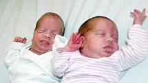 Mamince Petře Hammerschmiedové z Krupky se 5. března v ústecké porodnici narodil ve 21.24 hodin syn Adam, měřil 45 cm a vážil 2,42 kg a v 21.50 hodin dcera Eliška, měřila 43 cm a vážila 2,29 kg.